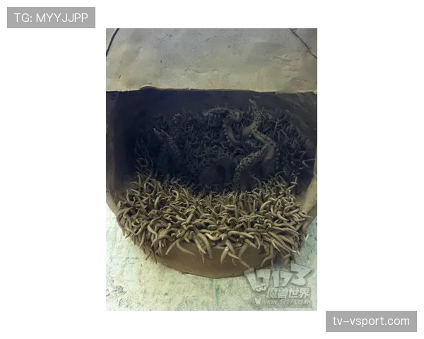 费钰婷一场球结束就换高跟鞋，拎的包让我工资单都想罢工